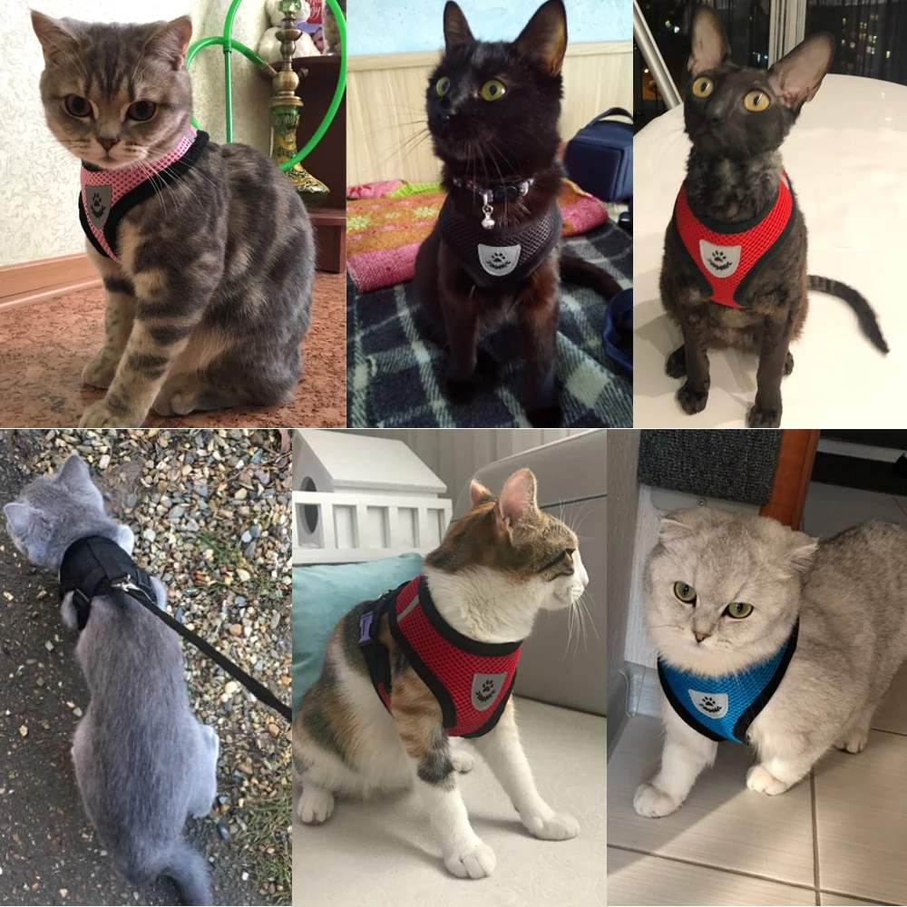 Mesh Cat Harness and Leash Breathable Reflective Kitten Cats Harnesses Small Dog Puppy Harness for French Bulldog Chihuahua Pug 3