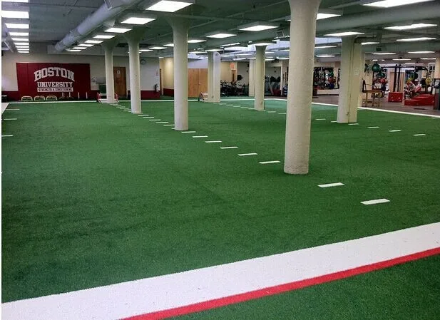 artificial grass for agility training & track (3)