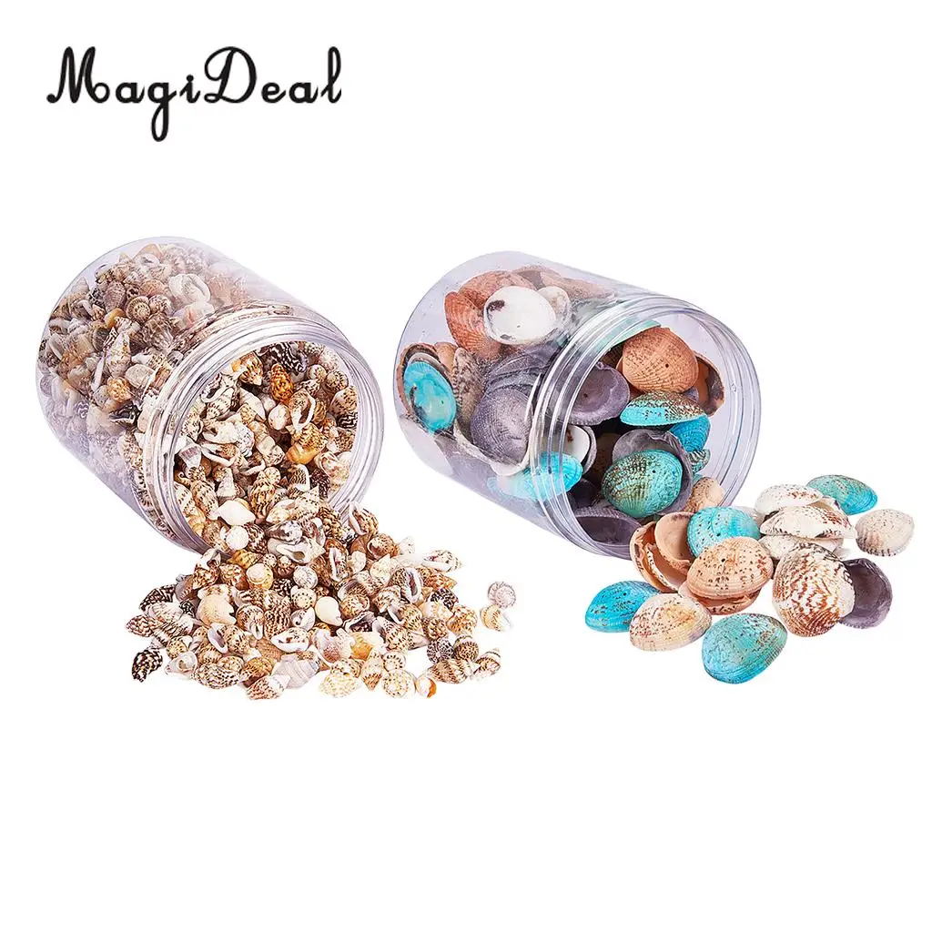 2 Box Multi Sea Shells Natural Conch Shells Beach Seashells, Colorful Assorted Accents for Candle Making Home Decorations