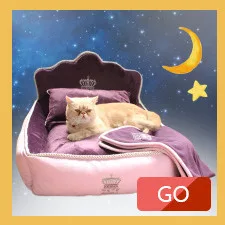 Luxury Noble Princess Dog Bed With Pillow Blanket Washable Pet Bed Cat Bed Mat Sofa Dog House Nest Sleep Cushion Kennel