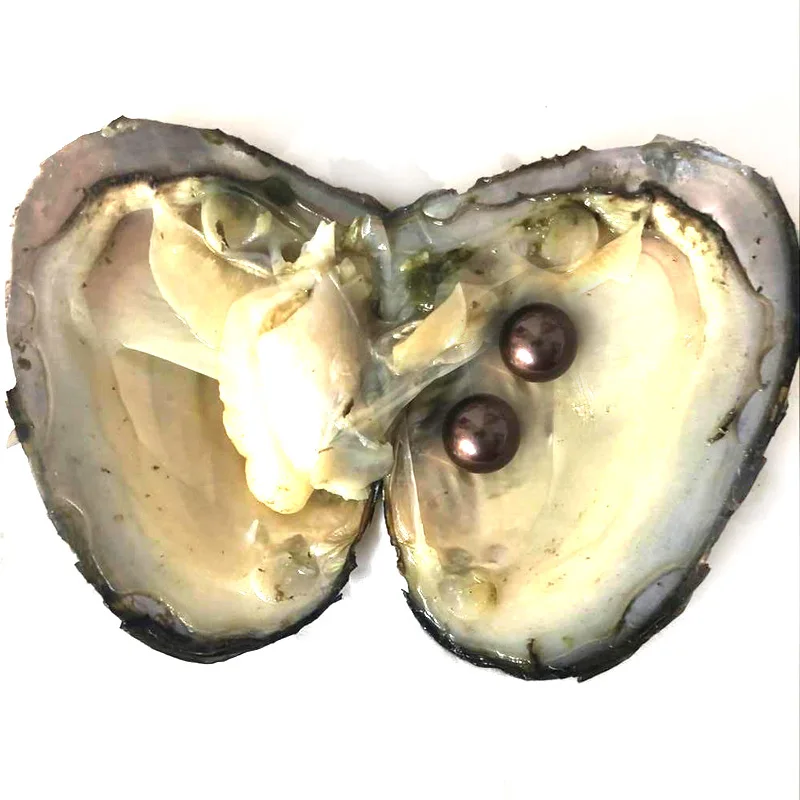 a-1 -1(6)