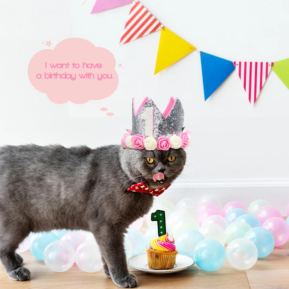 犬誕生日クラウンキャップ 帽子ペットの誕生日帽子小 中犬 猫ペットのフラワー装飾アクセサリーレタープリント Dog Caps Aliexpress 犬誕生日クラウンキャップ 帽子ペットの誕生日帽子小 中犬 猫ペットのフラワー装飾アクセサリーレタープリント Dog Caps Aliexpress