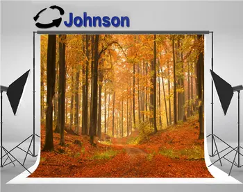 

falls Kashubia Poland Autumn Forest backgrounds Vinyl cloth High quality Computer print wall backdrop