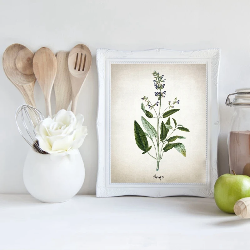 Vintage Herbal Illustrations Poster Kitchen Decor
