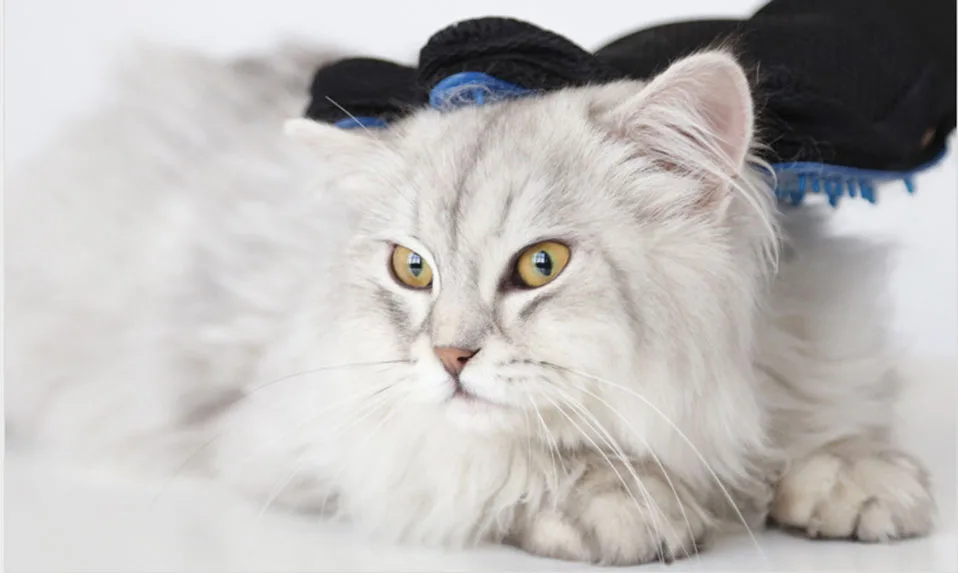 Blue Brush Glove For Animal Cat Cleaning Brush Finger Silicone Gloves For Cats Dogs Pet Hair Remover Glove Grooming              (8)