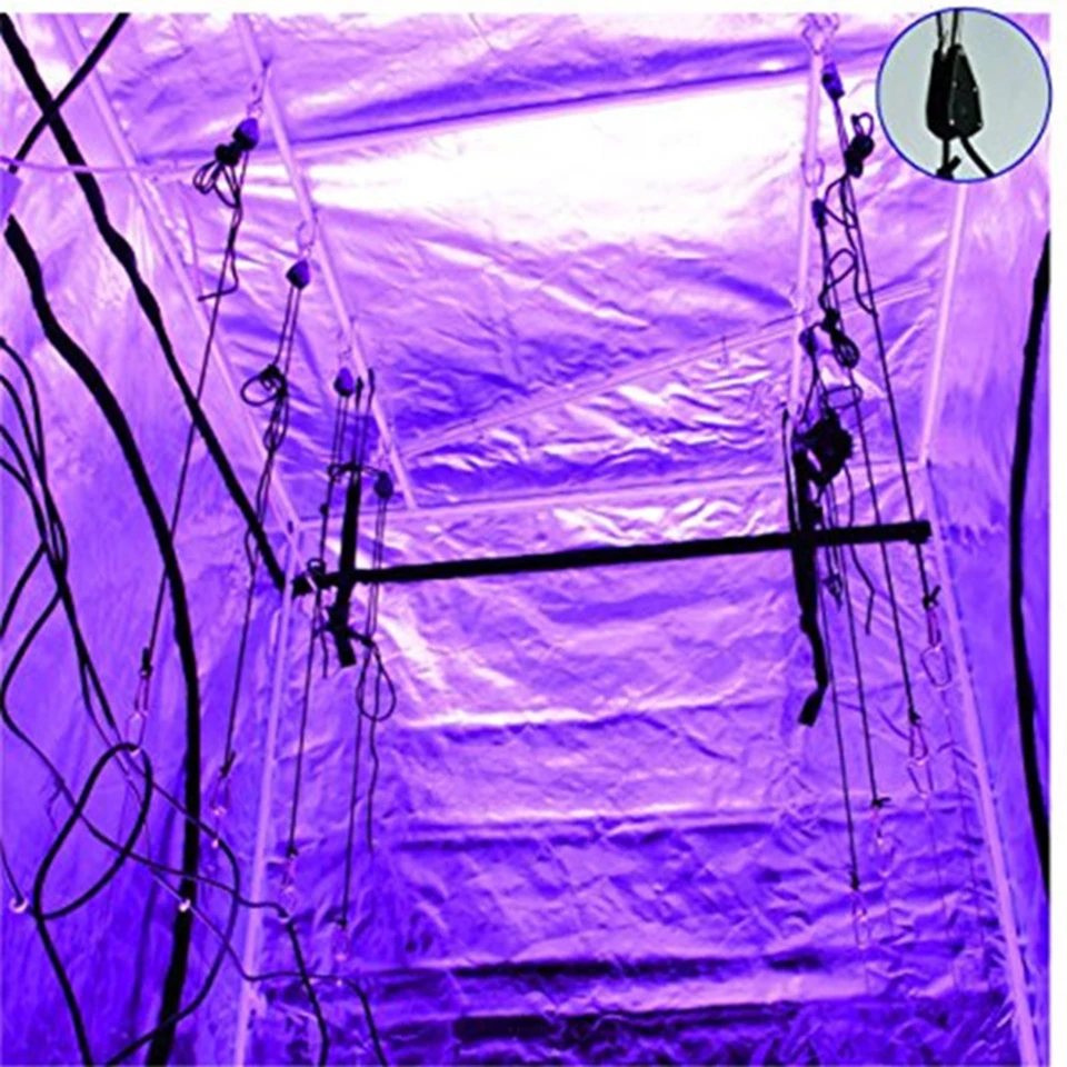 plant light (5)