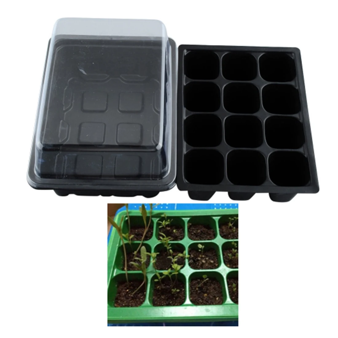 Buy VICTMAX 5 Set 12 Cells Nursery Pots Seedling Starter Tray Seed Planting