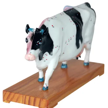 

cow anatomical acupuncture point model cattle acupoint model educational model