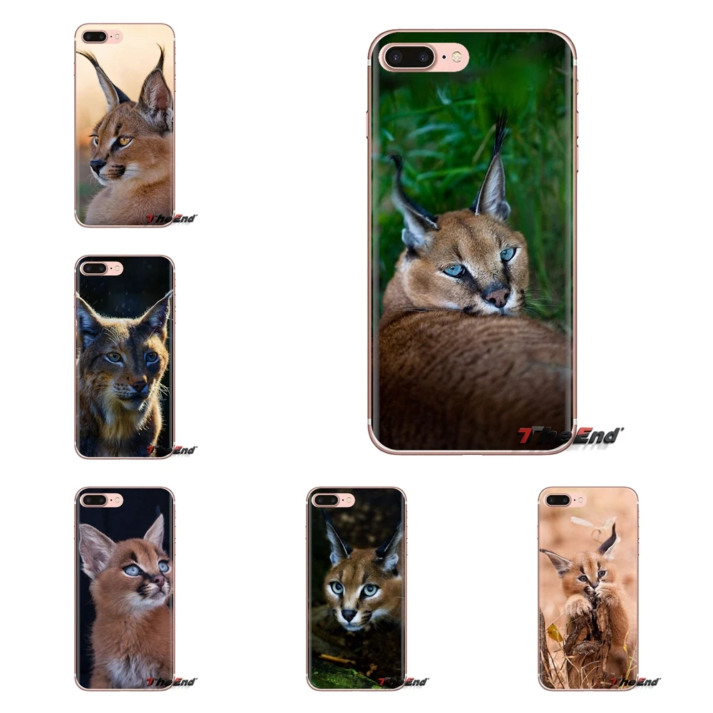 For Huawei G7 G8 P7 P8 P9 P10 P20 P30 Lite Mini Pro P Smart Plus 2017 2018 2019 Silicone Case Covers Africa Lynx Caracals kitten |