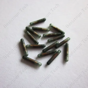 

EM4305 Glass Tube Tag 134.2KHz Animal Glass Tube Tag Injection/Embedded RFID Tags