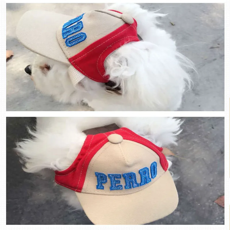 dog helmet