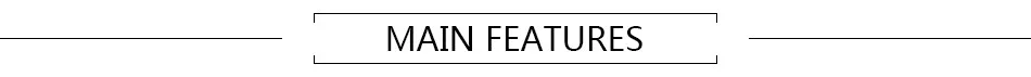 main feature