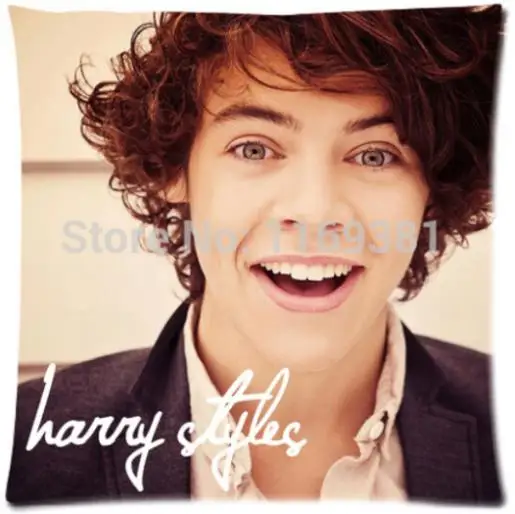 

2014 Hot Custom harry styles Fashion Glossy Zippered Soft Modern Single Pillow Case mini Size 33x33cm(Twin Sides)