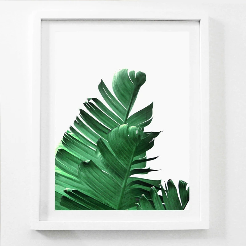 Green Plant Art Canvas Prints