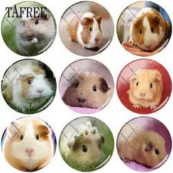 TAFREE прекрасный Guinea Pig искусстве 25 мм стеклянные кабошоны Круглый DIY ручной работы Круглое Стеклянное изображение крышка кулон кулоны в