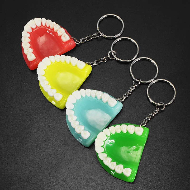 1PCS Dental Tooth Keychain Resin Molar Upper Jaw Model Shape Pendant