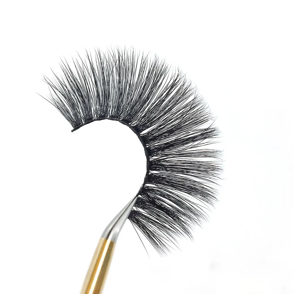 A24-(7)