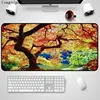 Computer Peripherals
