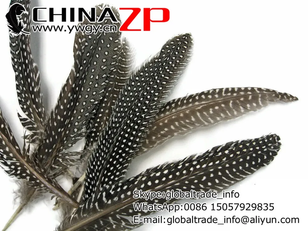 Natural Polka Dot Guinea Fowl Wing quills Wholesale Feathers (bulk4
