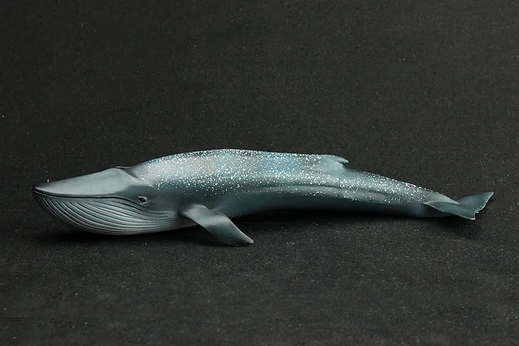 blue whale figure