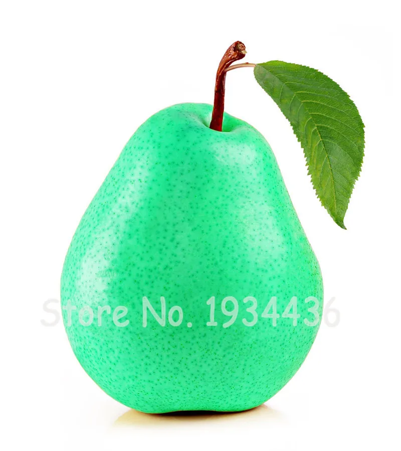 50 Pcs Exotic Original Pear Bonsai Fruit Rare Garden Plant For Flower Pot Planters Bonsai Tree Quality Seedsplants Fruit Potted 50 Pcs Exotic Original Pear Bonsai Fruit Rare Garden Plant For Flower Pot Planters Bonsai Tree Quality Seedsplants Fruit Potted