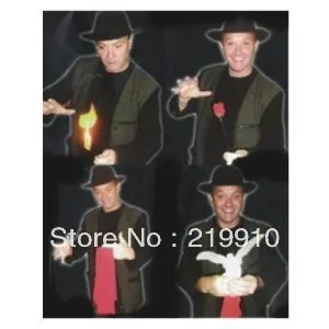 

Free Shipping Torch To Rose To Silk ( DVD and Gimmick ) Magic Tricks