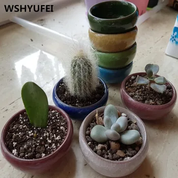 

8PCS/Lot Ice-Crack Ceramic Flower Pots For Juicy Plants Small Bonsai Pot Home and Garden Decor Mini Succulent Plant Nursery Pots