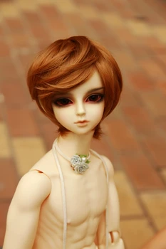 

BJD doll brown-golden hair wigs for 1/3 BJD DD SD High-temperature wire short hair wigs doll accessories