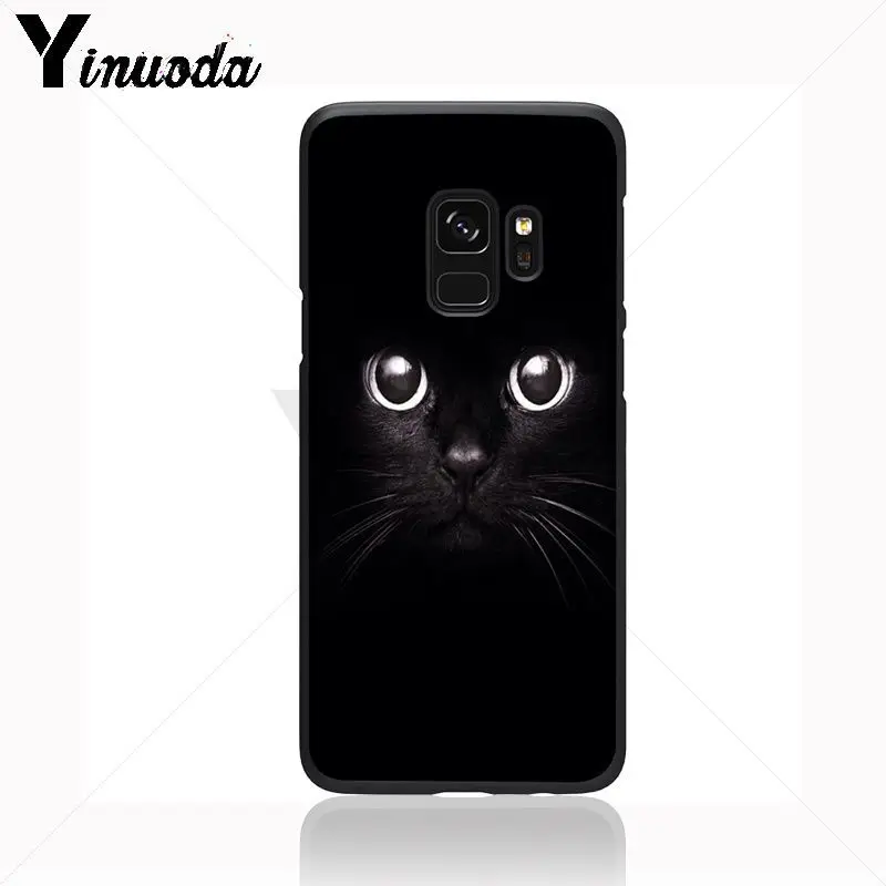Black Cat Staring Eye