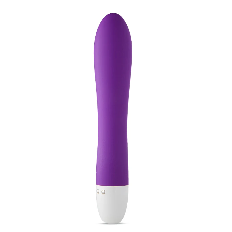 Vibrator (1)
