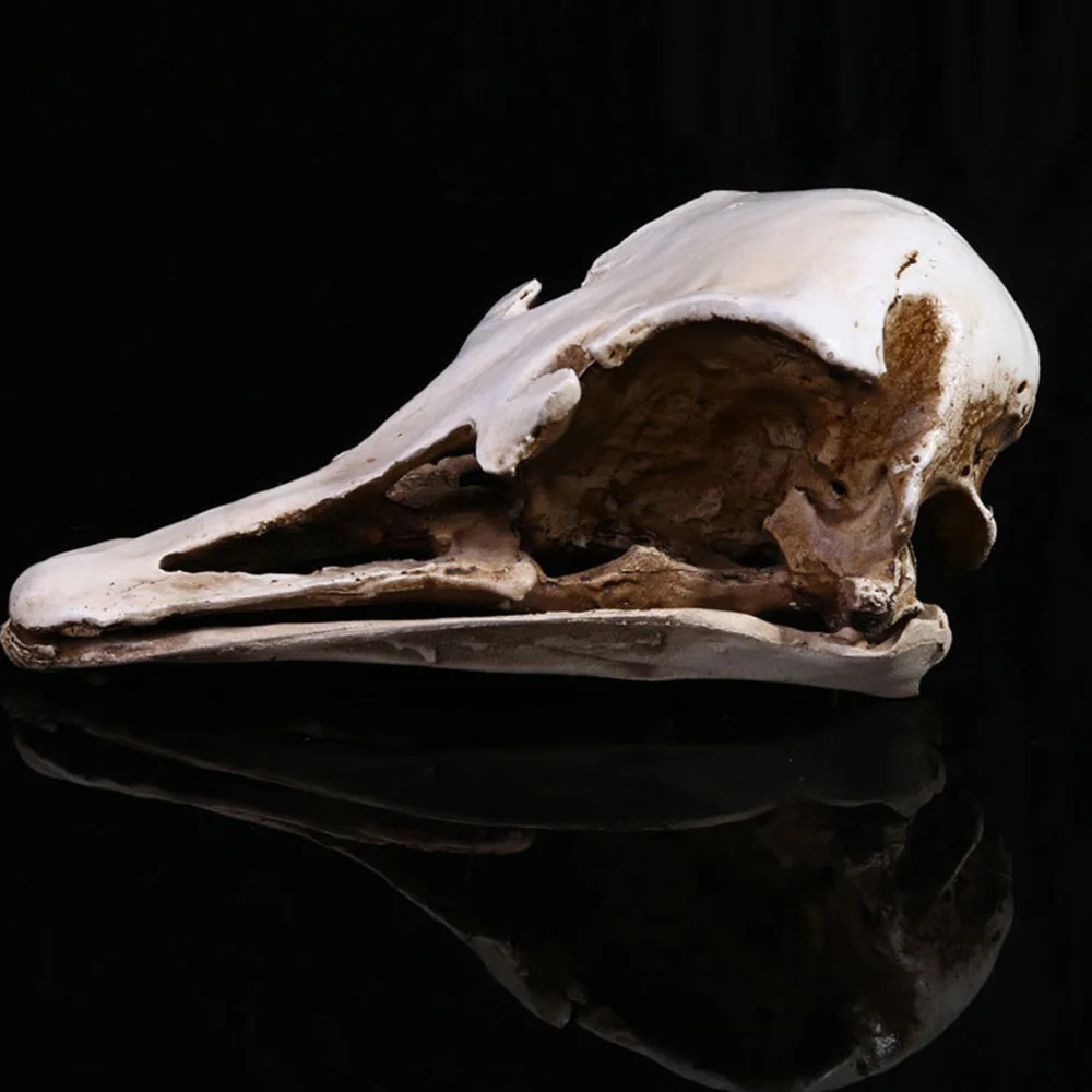 Изделия из смолы череп динозавра Fossil обучение скелет модель Хэллоуин домашний офис Хэллоуин украшения