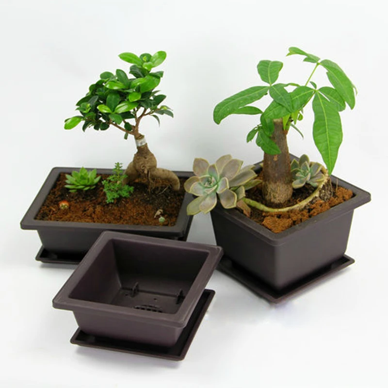 

Mini Plastic Flower Pots Rectangle & Square Vase Succulent Plant Pot Balcony Bonsai Basin Flowerpot Nursery Pots For Garden 35