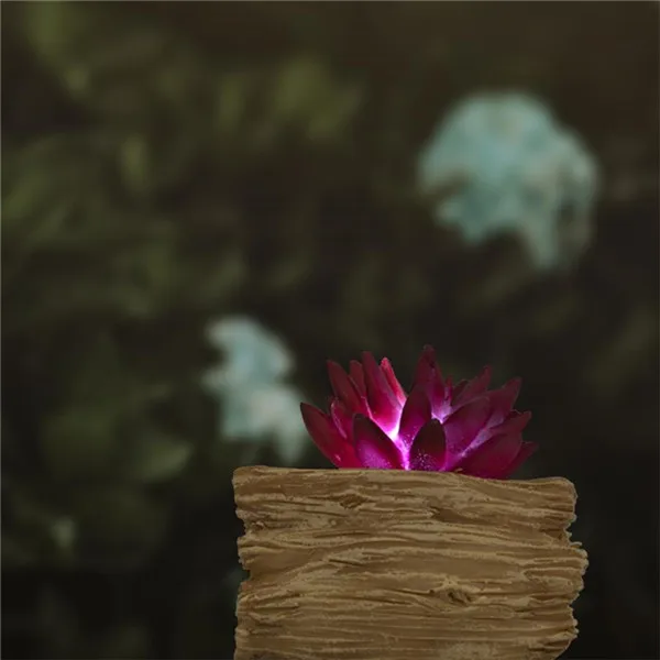 beautiful-bloom-blooming-7491132