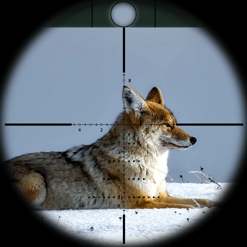 التكتيكي 4-16x44 Sfir طويلة المدى بنادق نطاق الهواء بندقية البصريات ريد دوت مضيئة بندقية Riflescope بندقية اطلاق النار الصيد التكتيكي 4-16x44 Sfir طويلة المدى بنادق نطاق الهواء بندقية البصريات ريد دوت مضيئة بندقية Riflescope بندقية اطلاق النار الصيد