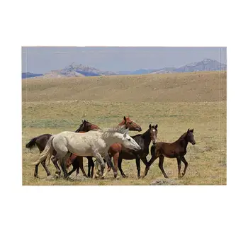 

Animal Rugs Horses Galloping On Prairie Wilderness Mountain Non-Slip Doormat Entryways Indoor Front Door Mat Kids Mat
