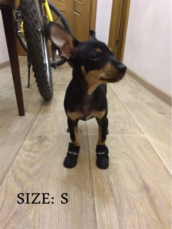 d0109_
