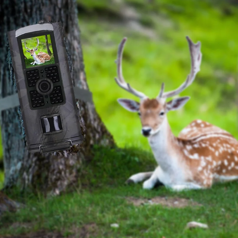 

HC-700A Outdoor Network Camera Monitor Waterproof Hunting Night Vision Camera