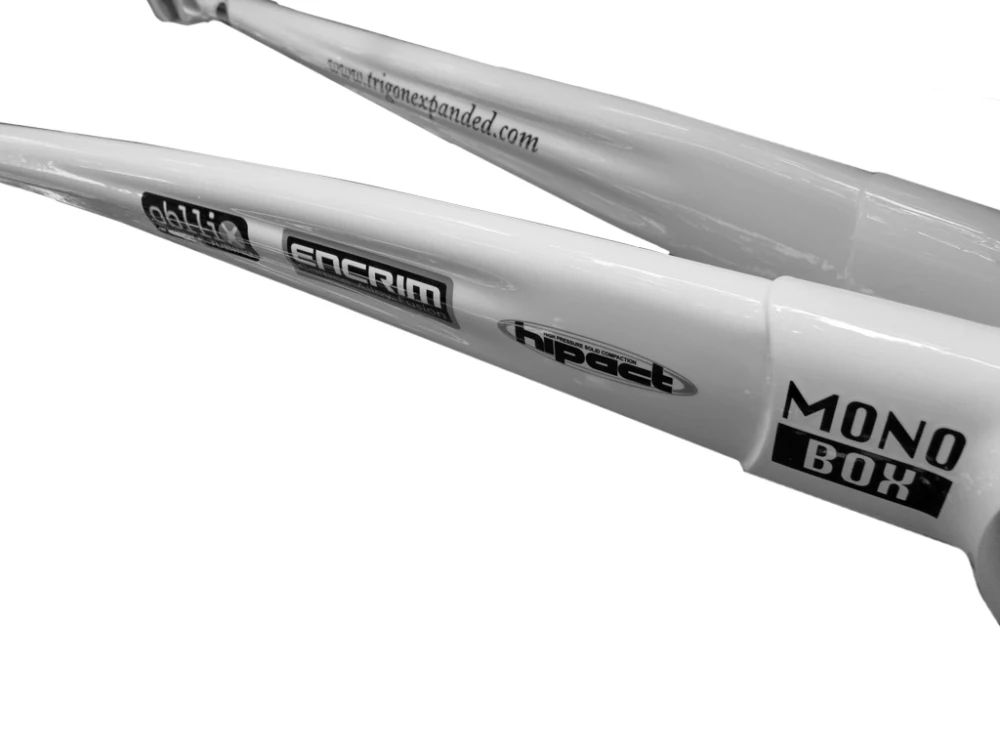 Best TRIGON RCC01 SWIFT carbon fiber ultra light 20" 451 mini road bike bicycle frame frameset carbon frame 5