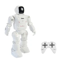 RC Robot Lider RC2108 Akıllı Dans Modu Hareket Kontrollü Programlanabilir Eylem Yüz Işık Sesler RC Oyuncaklar Çocuklar için