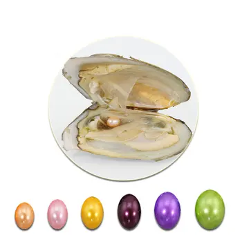 

Freshwater Oyster with Rice Pearl Inside 7-8MM Oval Freshwater Pearl Oyster for Party Pearl Wholesale PO3003