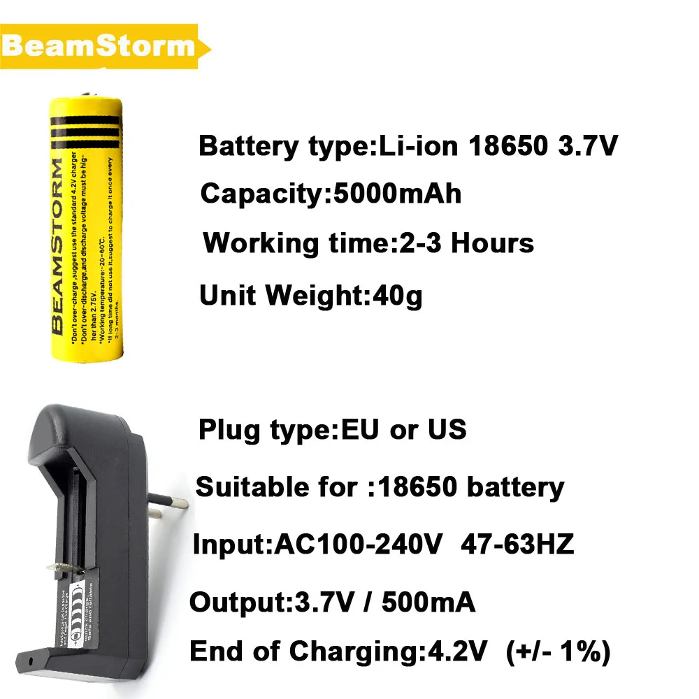 battery charger