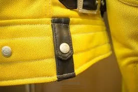 YELLOW CORN YB-3109 b9