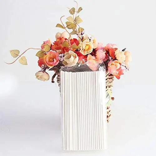 

YestBuy 100pcs/lot 6"(15cm) Cake Pop Sucker Paper Sticks Lollipop Candy Lolly Sticks