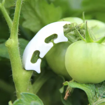 

100pcs Plastic Plant Support Clip Fastener Plants Hanging Vines Vegetable Tomato Farming Plant Clip Greenhouse Gardening Tools