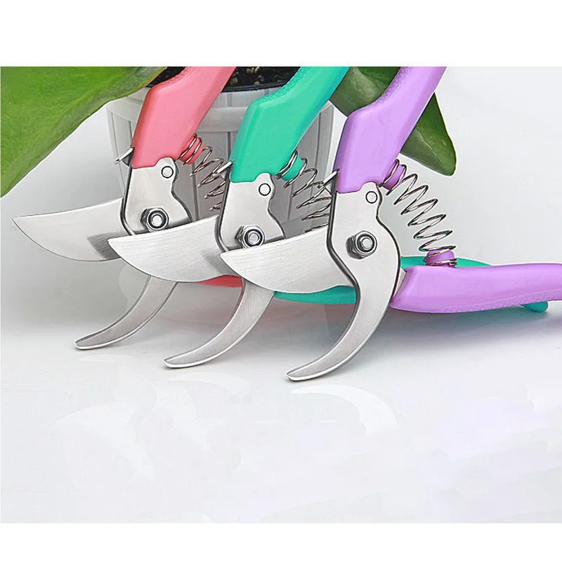 Pruning Scissors (3)