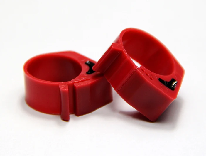Big Birds Rings (4)