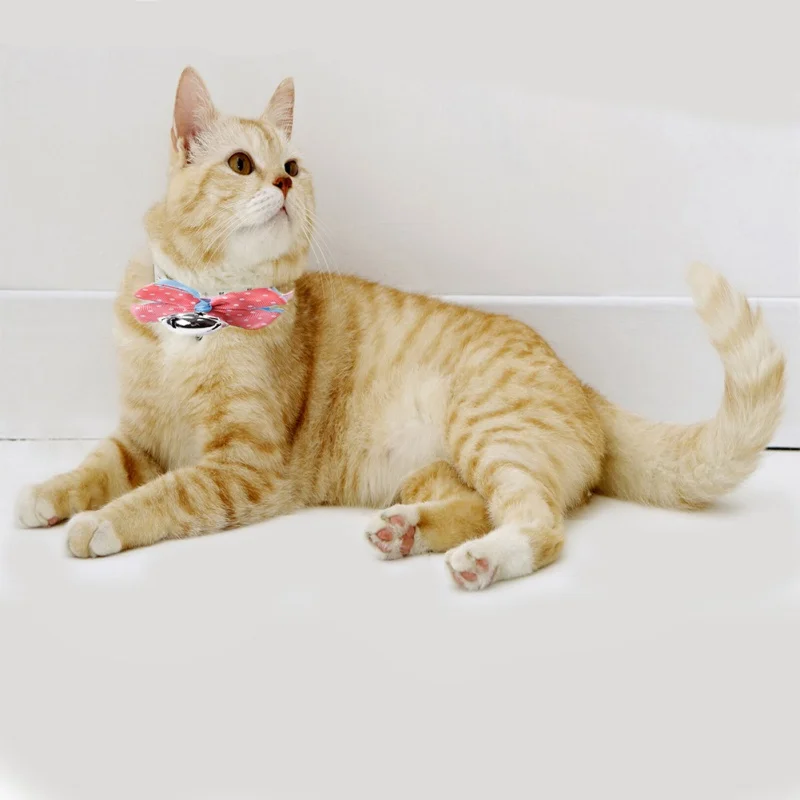 Cute Dog Collar Big Bow-knot Tie Silver Bells Cat Collar Adjustable Puppy Quality Fashion Pet Supplies Hot Sales Beauty Products