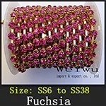 Fuchsia xz009