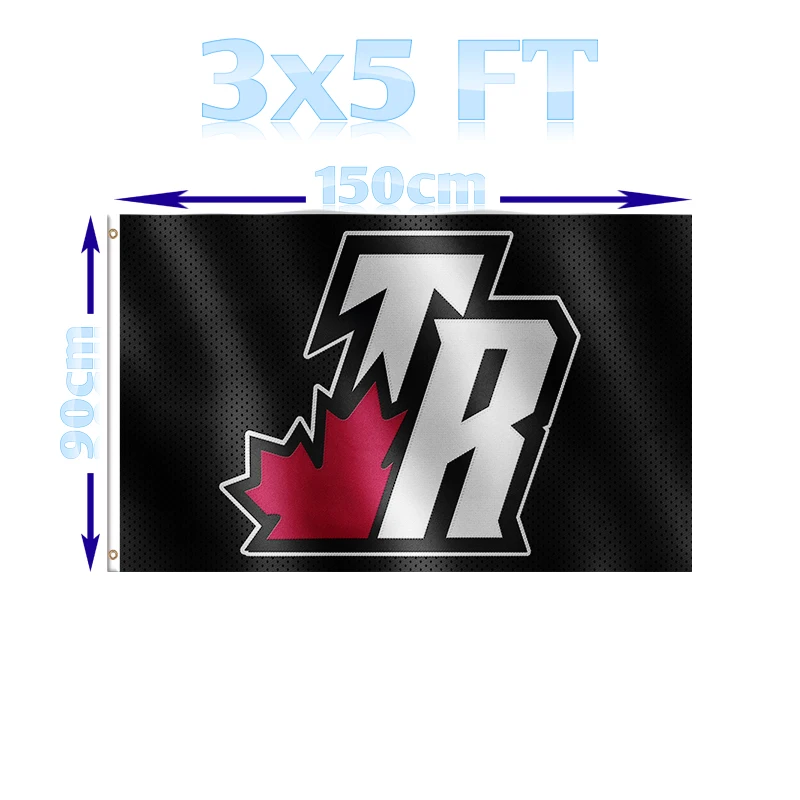 

BENFACTORY Store 3x5 Ft The North City Toronto Printed Embroidery Effect TR Flags Single Layer 100D Polyester Brass Grommets
