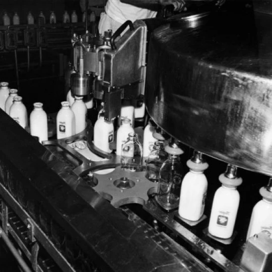 Milk bottles on a conveyor belt at a bottling plant Poster Print (18 x 24)